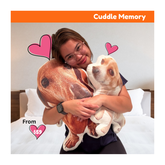 Turn Your Pet's Photo Into A Memory You Can Cuddle ❤️ 🐾