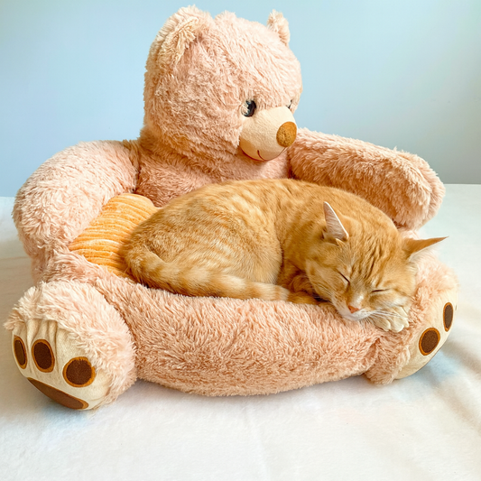 Teddy Hugs Super Soft Pet Bed 🐾