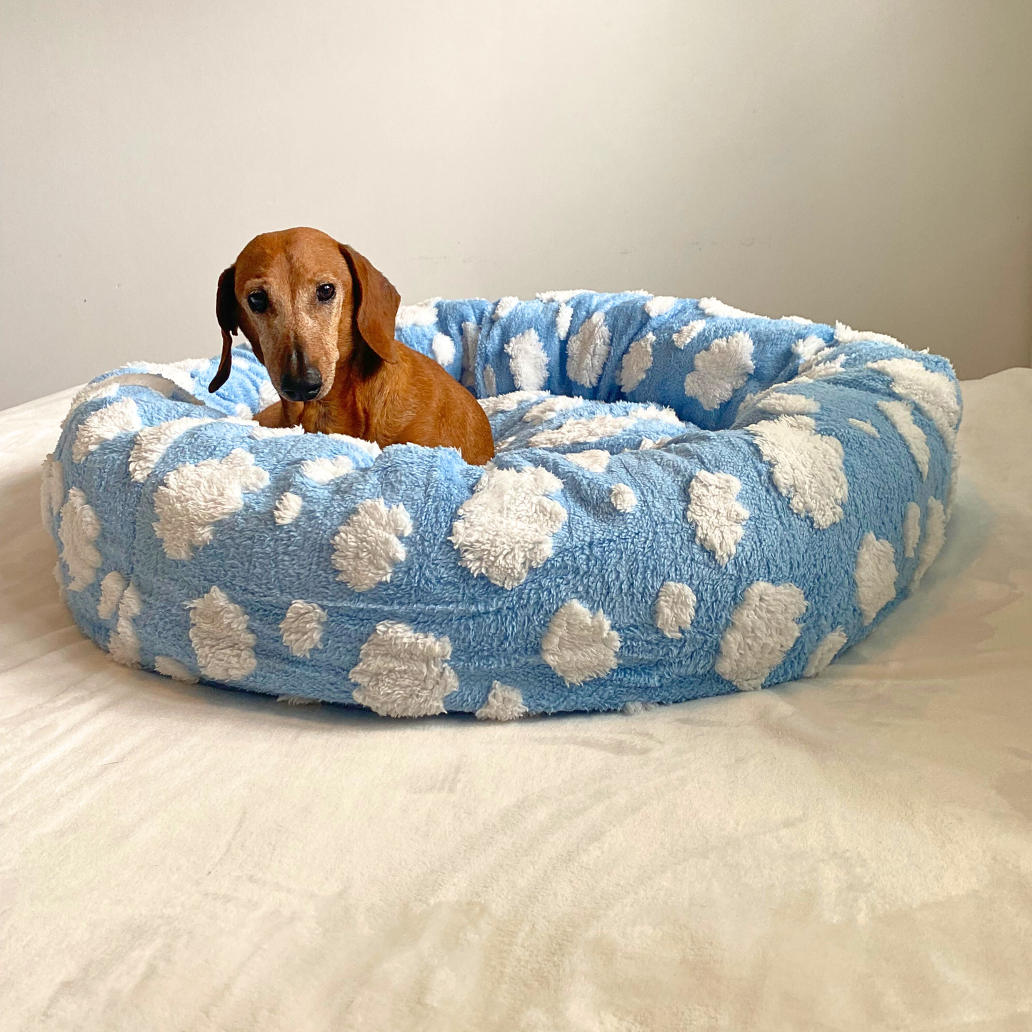 Dream Maker Pet Bed 🐾
