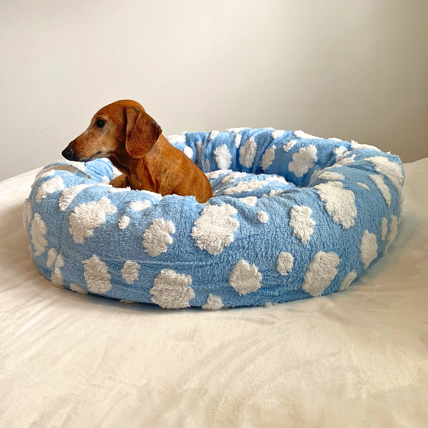 Dream Maker Pet Bed 🐾