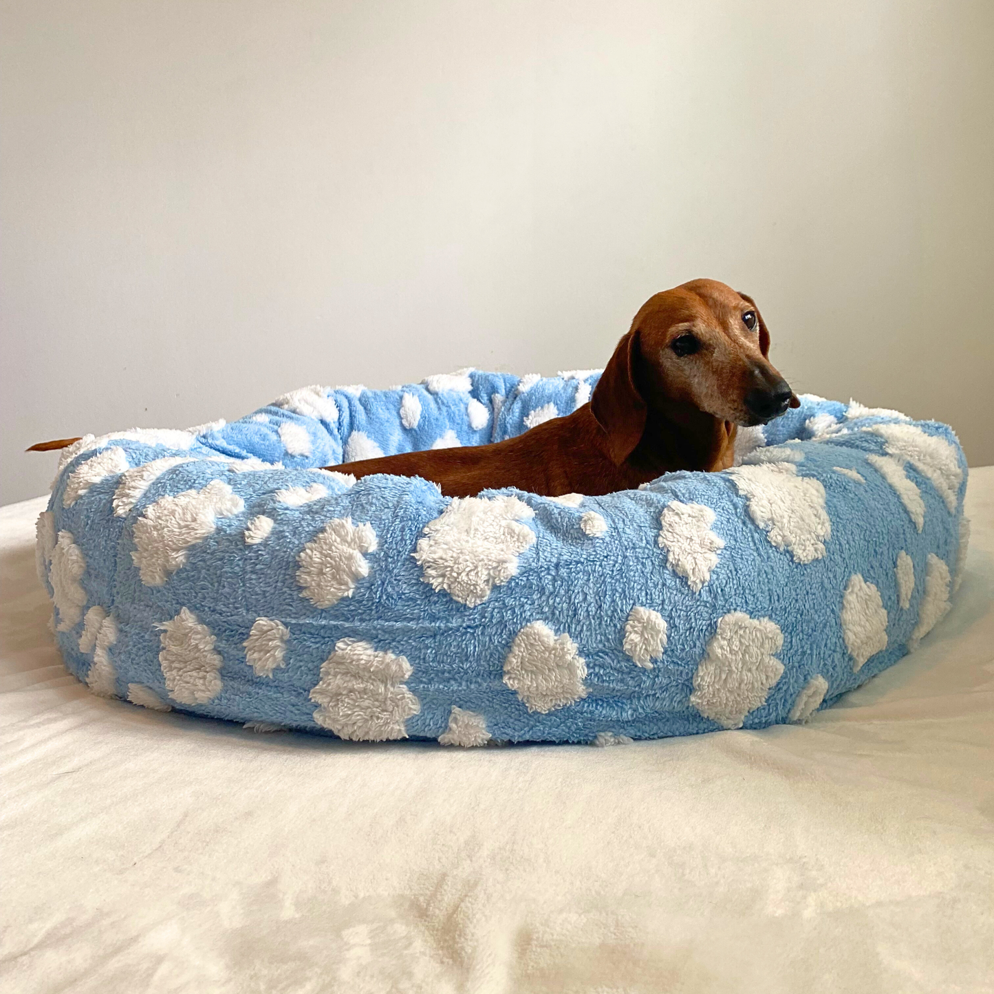 Dream Maker Pet Bed 🐾
