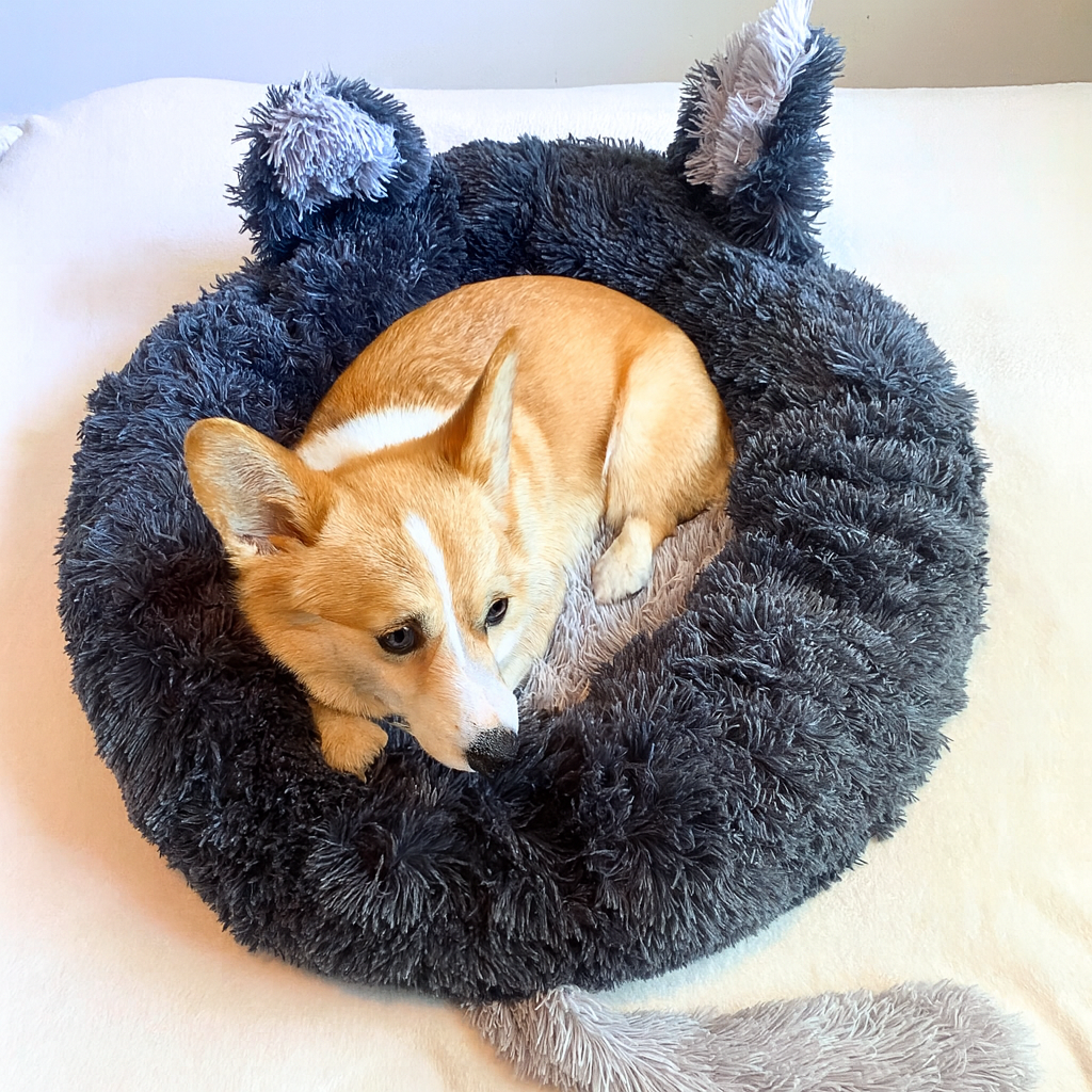 CosyKitty Calming Bed🐾