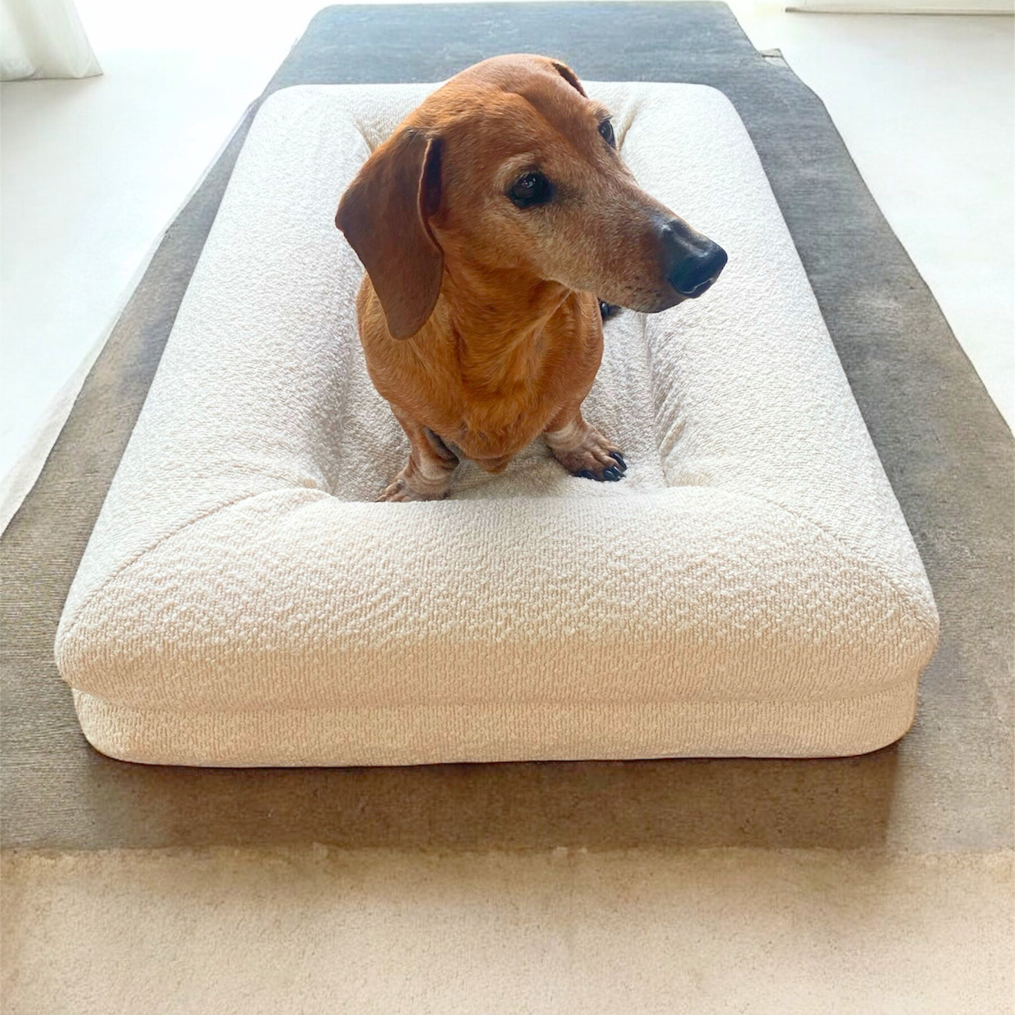 CloudPaw Luxe Pet Bed 🐾