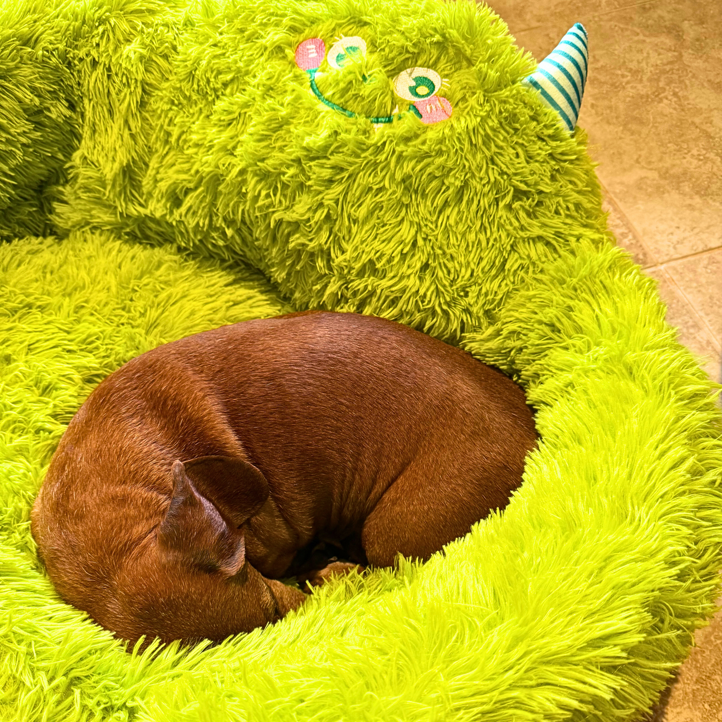 Boo Snug Relaxation Bed 🐾