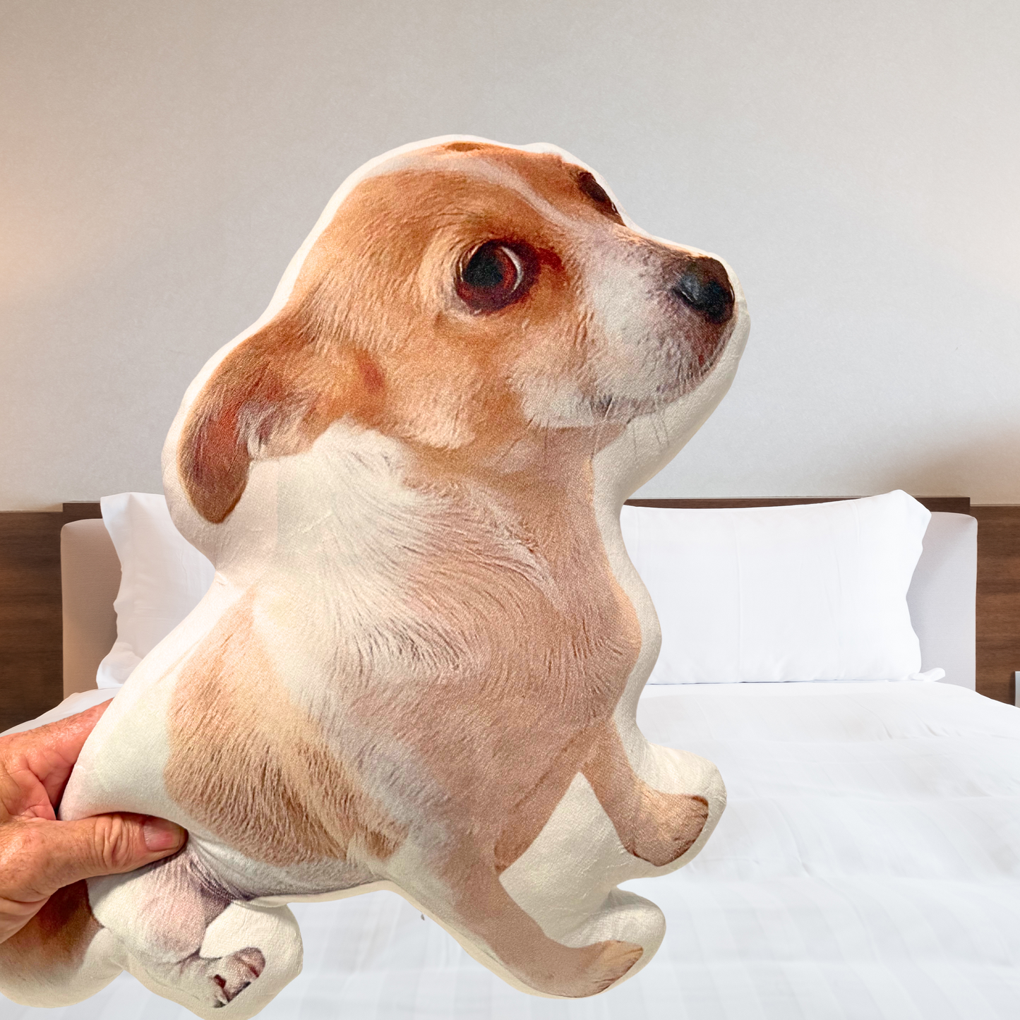 Custom Photo to Pillow 🐾