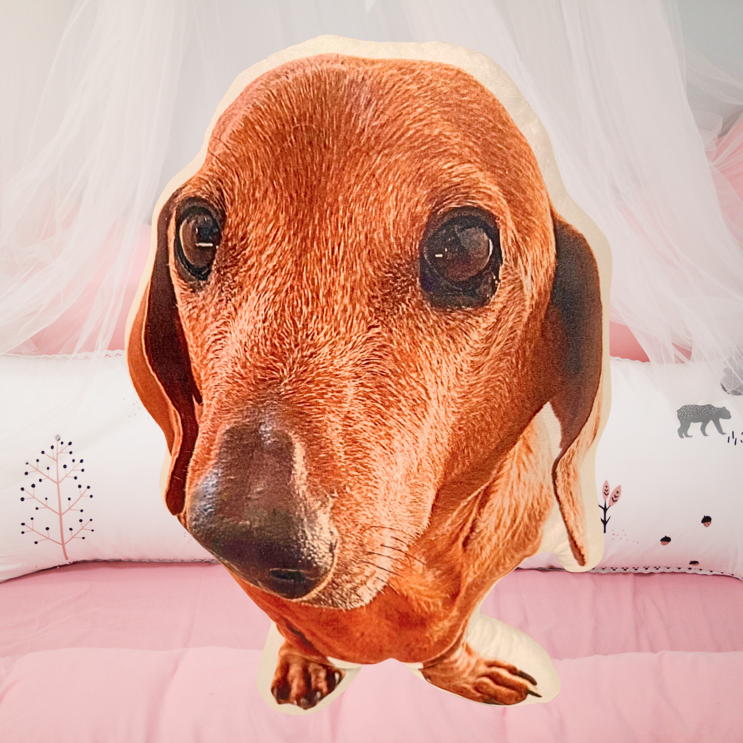 Custom Photo to Pillow 🐾