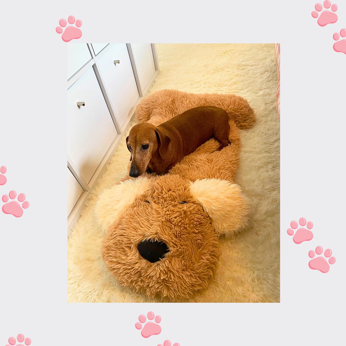 SnugglePup Pet Bed 🐾