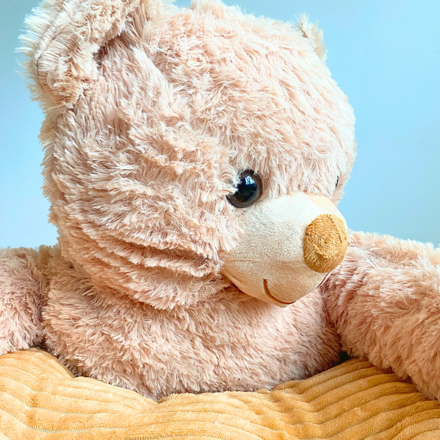 Teddy Hugs Super Soft Pet Bed 🐾