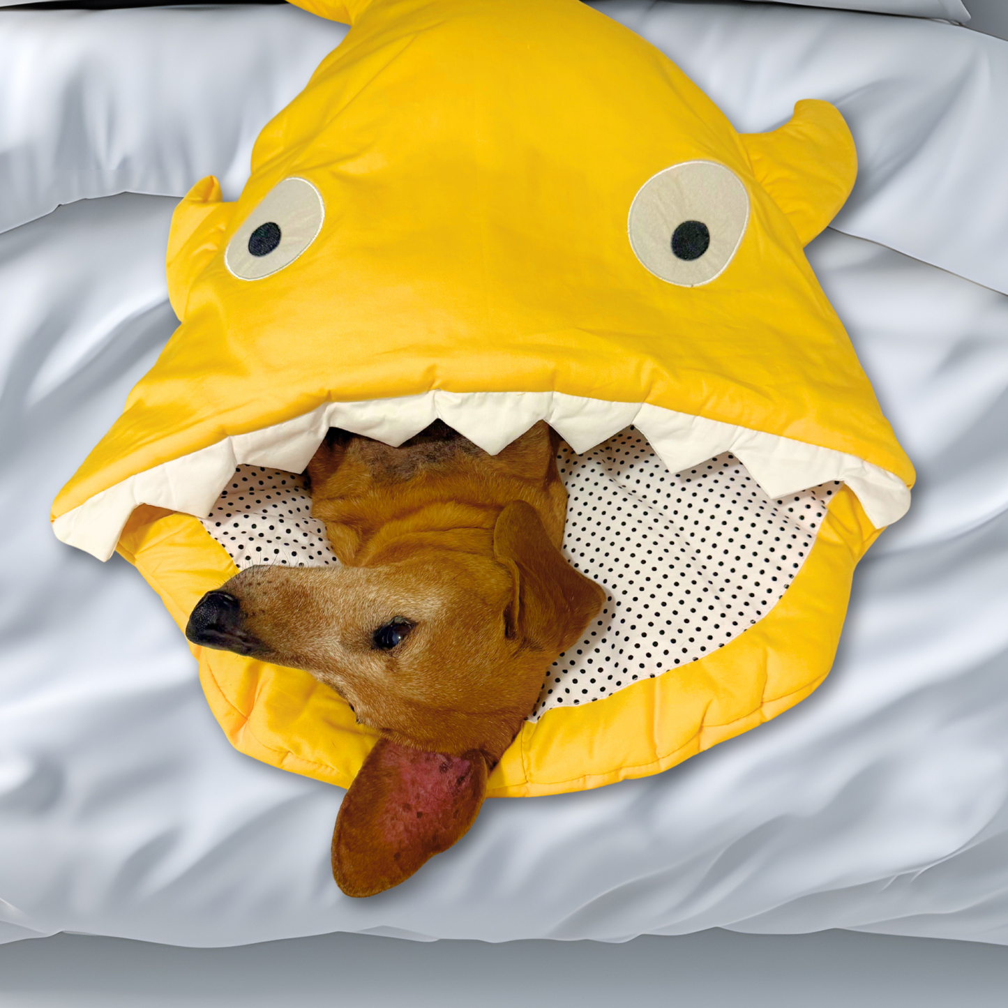 Sharky Sleeping Bag for Pets 🐾